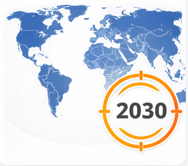 Company in 2030